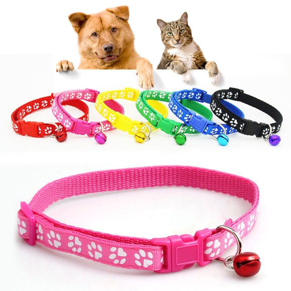 Hundehalsband mit Pfotenabdruck, verstellbar