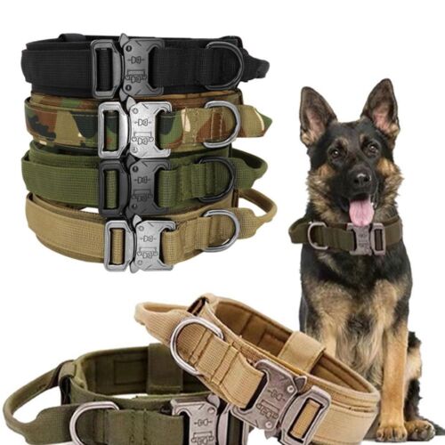 Collier de chien tactique militaire